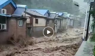 涿州洪水退去街头开始消杀