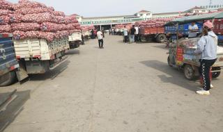 金乡大蒜国际交易所 金乡大蒜国际交易所