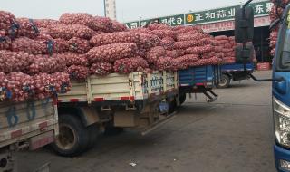 金乡大蒜国际交易所 金乡大蒜国际交易所