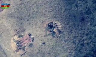 漫画的启示作文等着乘凉