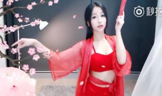 四川人把熊猫拉去做主播了