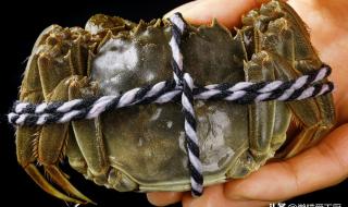 活螃蟹怎么保存过夜