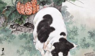 长长耳朵四条腿是什么生肖 长长耳朵四条腿是什么生肖