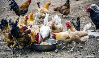 北京北方国际射击场