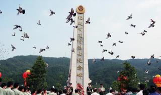 首次放飞10万和平鸽