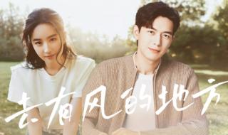 去有风的地方大结局