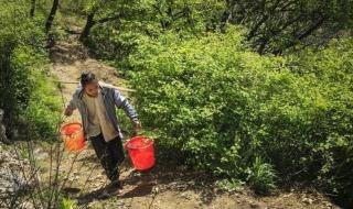 一个老和尚在山洞里练功