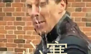 儿子媳妇带我去看电影文案