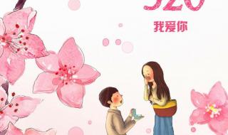 520是什么节日什么意思啊